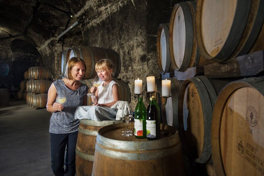 Vienna: Wine Tasting E-Bike Tour - Why This Vienna Wine Tasting E-Bike Tour Feels Like More Than a Typical Day Trip