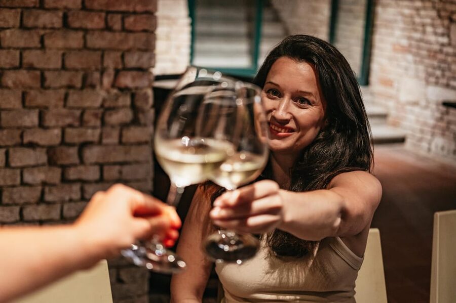Vienna: Wine Tasting Experience in a Private Wine Cellar - Meet Your Guide: What Makes the Session Work