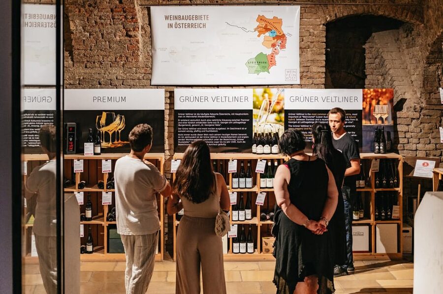 Vienna: Wine Tasting Experience in a Private Wine Cellar - Practical Tips Before You Go