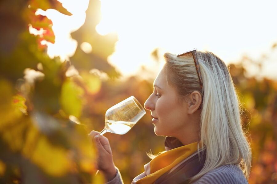 Vienna: Winery and Wine Tasting Tour with a Wine Expert - Key highlights you’ll feel right away