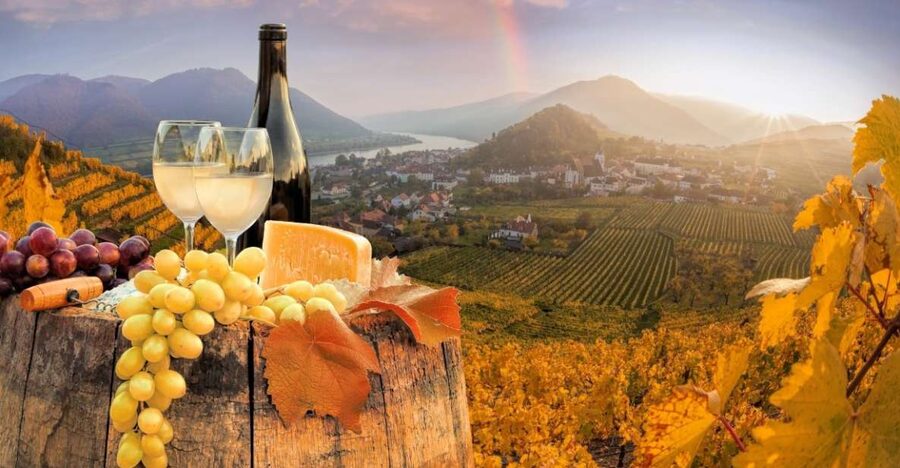 Vienna: Winery and Wine Tasting Tour with a Wine Expert - Vienna’s wine culture: what makes it more than a sip