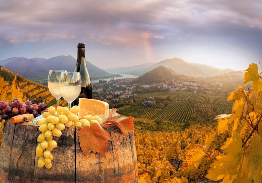 Vienna: Winery and Wine Tasting Tour with a Wine Expert - The 3-hour option: five tastings plus appetizers and a mini Old Town walk