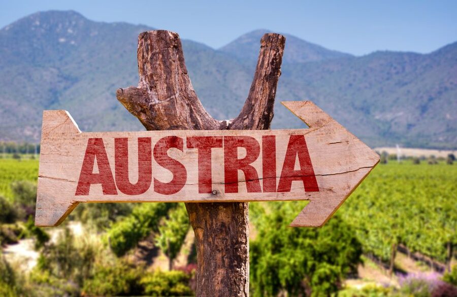 Vienna: Winery and Wine Tasting Tour with a Wine Expert - Who should book this Vienna wine tasting, and who might skip it