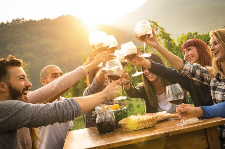 Vienna: Winery and Wine Tasting Tour with a Wine Expert - Should you book this Vienna wine tasting tour?