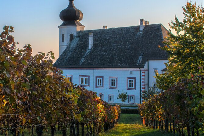 Vienna Woods Wine Tour - Wines, Vines & Good Times! - Who this tour suits best (and who should reconsider)