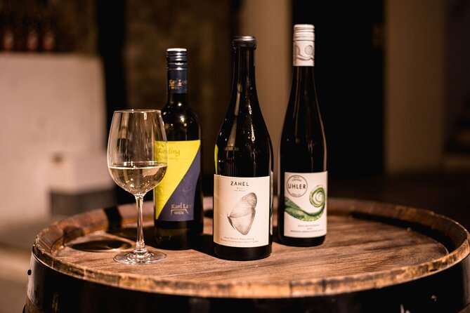 Viennese Wine Tasting in a Private Hidden Wine Cellar - Key things I’d watch for before you go
