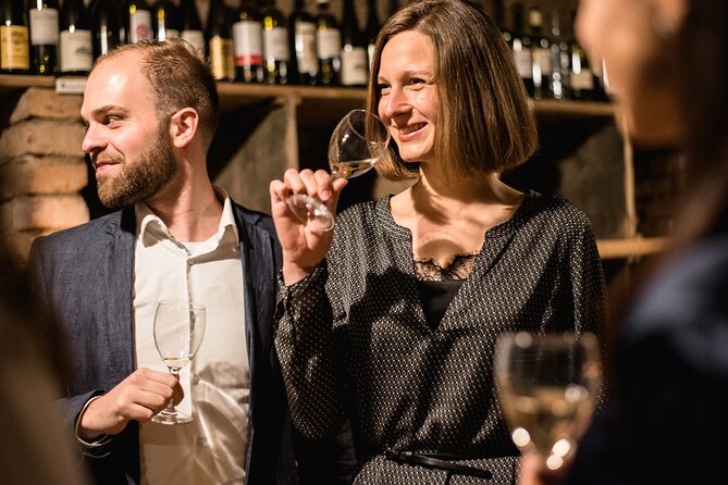 Viennese Wine Tasting in a Private Hidden Wine Cellar - Going underground: the cellar tour that feels like another Vienna