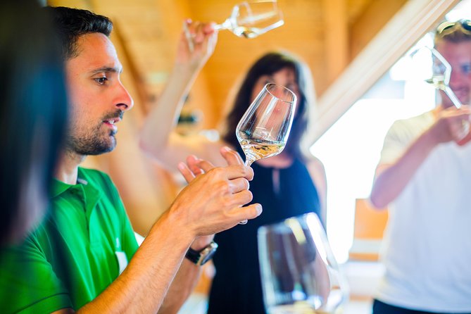 Wachau Valley Private Tour With Melk Abbey Visit and Wine Tastings from Vienna - Dürnstein: cobblestones, sweets, and optional castle views