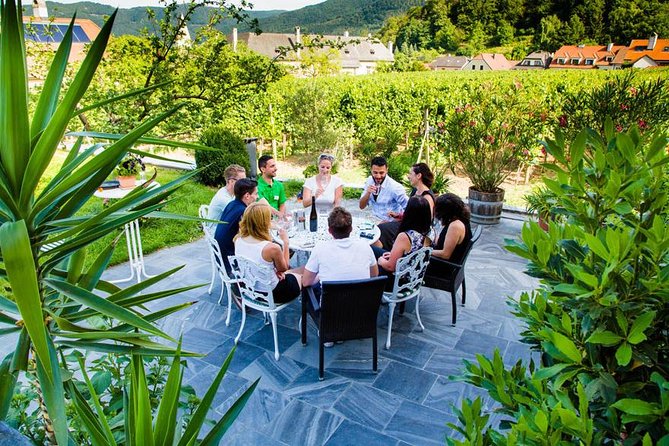 Wachau Valley Small-Group Tour and Wine Tasting from Vienna - Dürnstein and the castle ruins: the story stop that’s actually fun