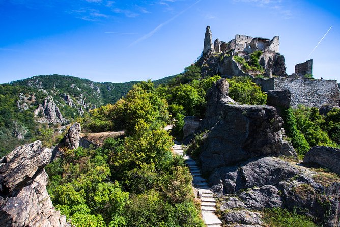 Wachau Valley Wine Tasting Bike Tour from Vienna - Winery tastings: included, guided, and part of the value