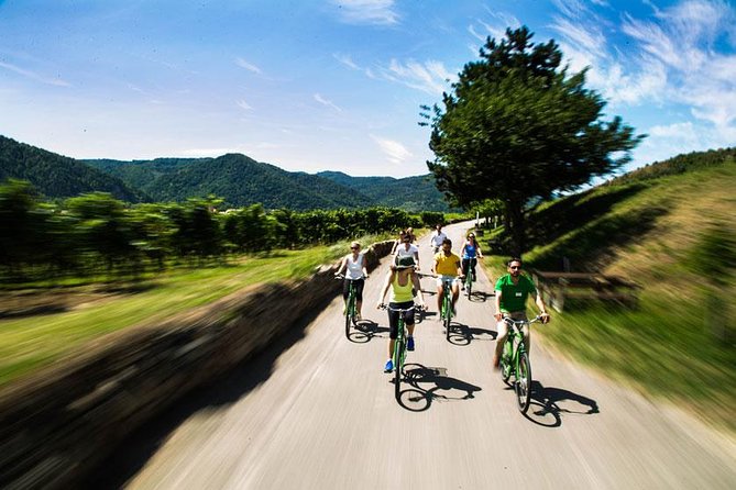 Wachau Valley Wine Tasting Bike Tour from Vienna - Gear and weather: what you should pack
