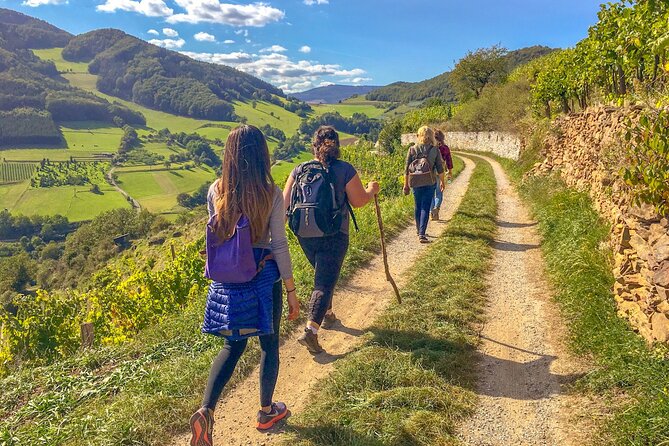Wachau World Heritage Hike - Key highlights you’ll actually feel on the day