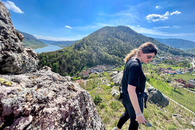 Wachau World Heritage Hike - The main walk near Spitz: vineyards, stone oaks, pine, and Danube views