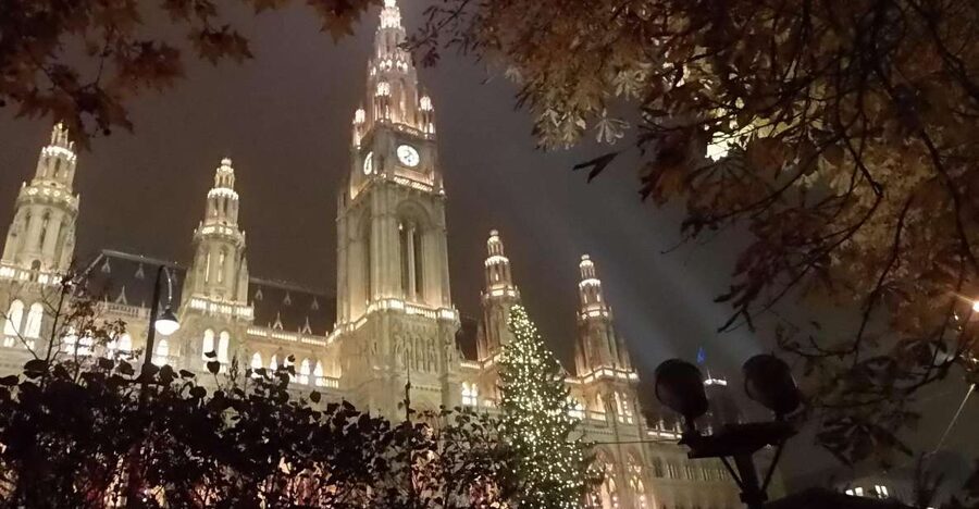 Wien: Tour with locals on the trails of the Christmas Tree - Following the Christmas tree trail from palace to street