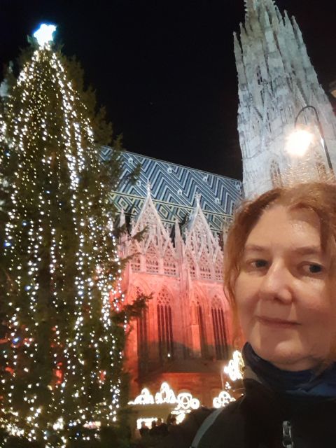 Wien: Tour with locals on the trails of the Christmas Tree - Where churches fit (and where they don’t)