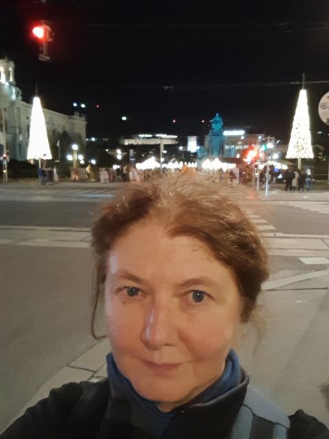 Wien: Tour with locals on the trails of the Christmas Tree - Small group magic (and why it affects the quality)