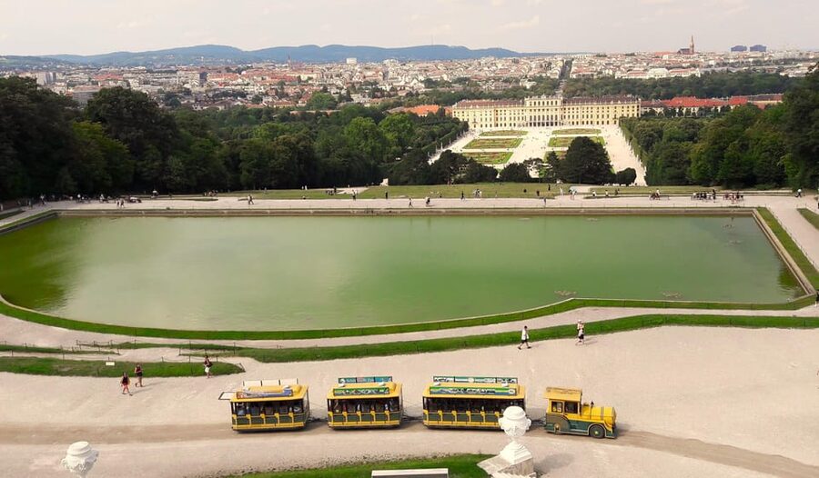 Wien: Tours with locals by public transport & walking - Why Vienna Feels Easy After a Public-Transport Lesson