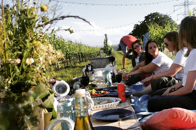 Wine Picknick overlocking vienna - Key highlights you should know