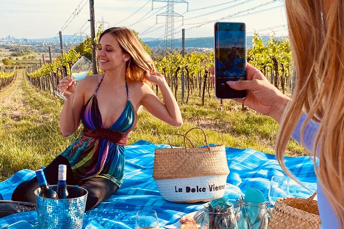 Wine Picknick overlocking vienna - Why this Vienna vineyards wine picnic feels different from a standard tasting