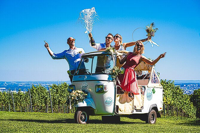Wine Picknick overlocking vienna - Price and value: what $299.18 gets you for up to three