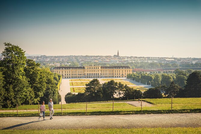 Wine Tasting at Schönbrunn Palace with optional Palace Ticket - The wine tasting: five Viennese wines and what to notice